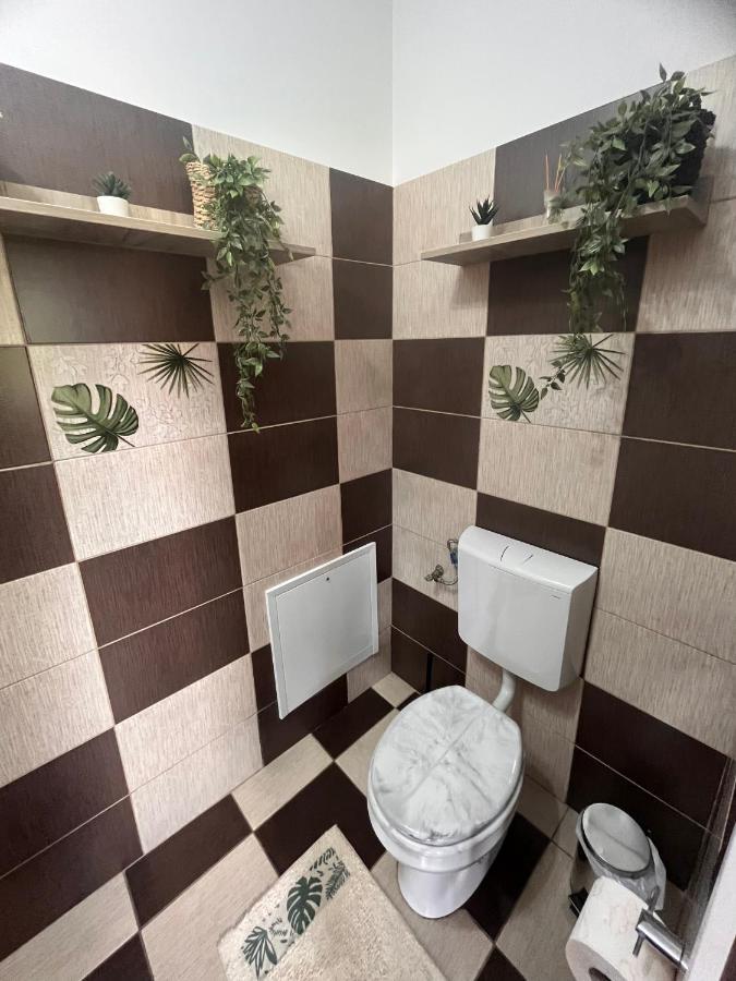 Natura City Center Studio Brassó Kültér fotó