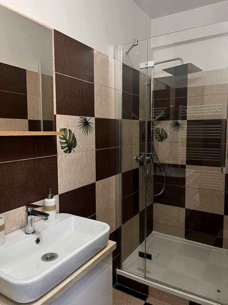 Natura City Center Studio Brassó Kültér fotó